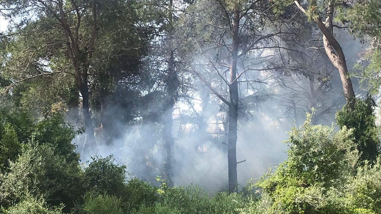 ANTALYA - Ormanlık alanda çıkan yangın söndürüldü