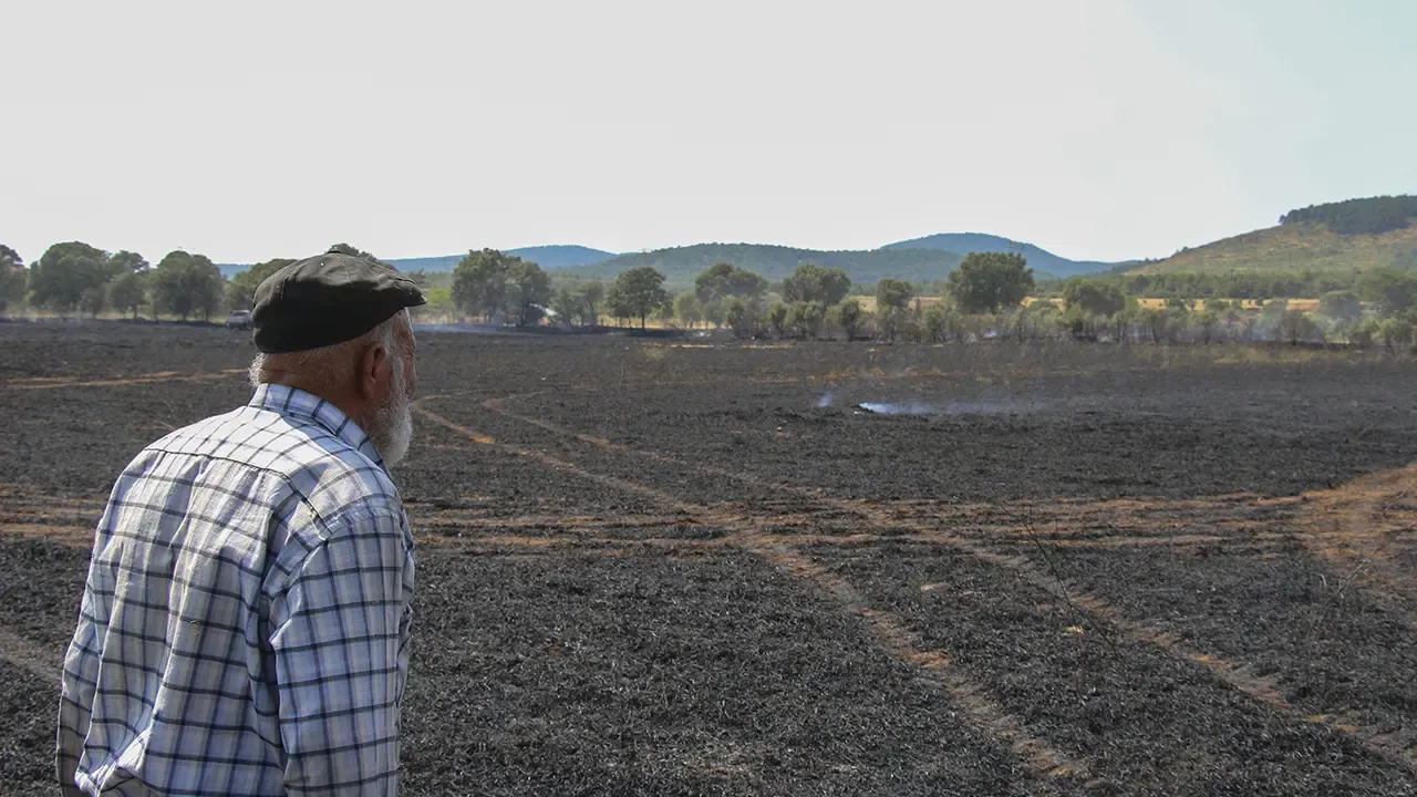 Uşak'ta Buğday Ekili Arazide Yangın Çıktı: 100 Dekar Alan Kül Oldu!
