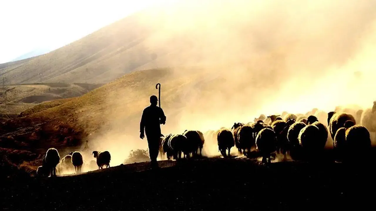 Denizli'de Çobanlar arası bilgi yarışması düzenlendi