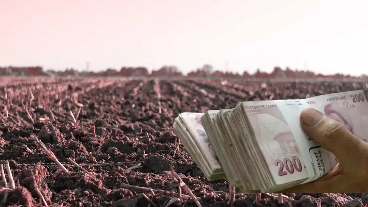 Uşak'ta Hazine'den satılık arazi ilanları: En pahalısı 383 bin TL!