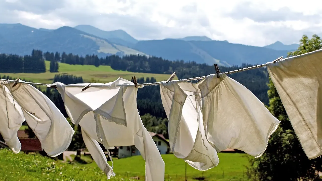 Evde Mükemmel Temizlik: Çamaşır Makinenizi Limonla Yeniden Canlandırın!