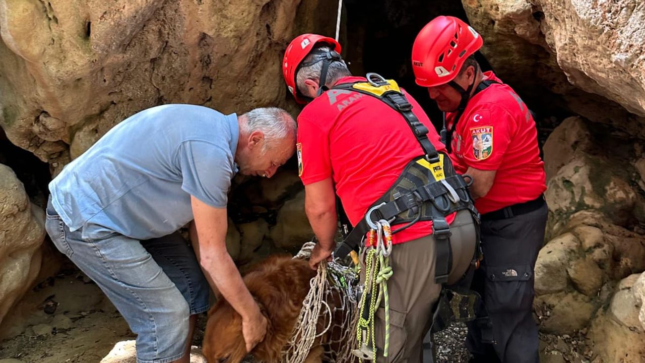 Fethiye’de dere yatağındaki sarp arazide mahsur kalan köpek ekiplerce kurtarıldı