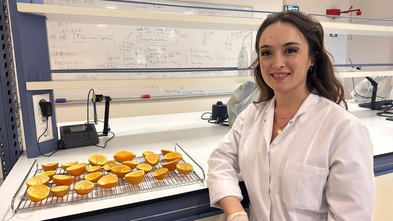 Plastik kullanımını azaltmak için portakal kabuğundan yapılan ambalaj patent aldı