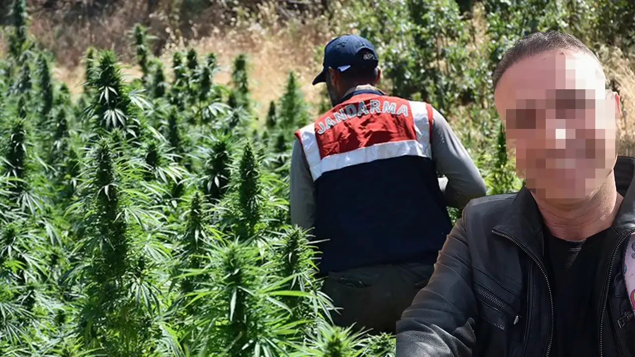 Eşme'de arazisinde esrar yetiştiren imam tutuklandı