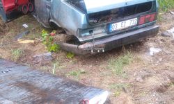 Aydın'da ağaca çarpan otomobildeki 2 kişi yaralandı
