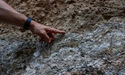 İzmir Kemalpaşa Fayı'nın deprem potansiyelinin tespiti için hendek kazılıyor