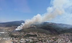 İzmir'in Güzelbahçe ilçesinde orman yangını çıktı