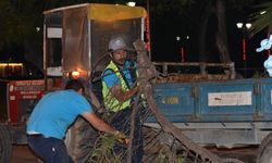 Manisa'da şiddetli rüzgar nedeniyle yan yatan 80 yıllık çam ağacı kesildi