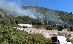 ANTALYA - Kaş ilçesinde makilik alanda yangın çıktı