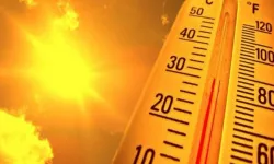 İklim değişikliği ve yükselen sıcaklıklar hastalık riskini artırıyor