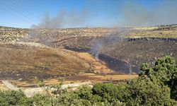 DİYARBAKIR - Tarlada başlayıp bir bahçeye sıçrayan yangın hasara neden oldu