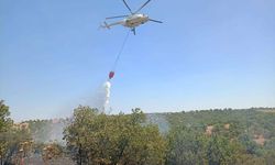 Uşak Eşme'deki orman yangını söndürüldü