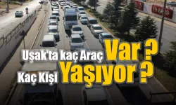 Uşak'ta kaç araç var ? Kaç kişi yaşıyor ?