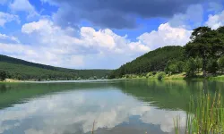 Afyonlular Dikkat! Ormana Girişler Yasaklandı..