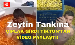 Zeytin Tankına Çıplak  Girdi Tiktok'tan Video Paylaştı!