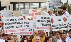 Uşak'ta Veteriner Hekimler "şiddete karşı" İş Bıraktı