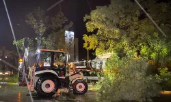 Uşak'ta Şimşekler Çaktı! Fırtına Ağaçları Devirdi...