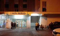 Denizli'de hafif ticari aracın çarptığı Bakiye Yılmaz hastanede öldü