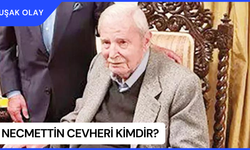 Necmettin Cevheri Kimdir? Necmettin Cevheri Nereli ve Kaç Yaşında? Necmettin Cevheri Neden Öldü?