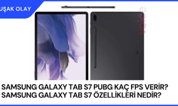 Samsung Galaxy Tab S7 PUBG Kaç FPS Verir? Samsung Galaxy Tab S7 Özellikleri Nedir?