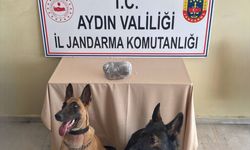 Aydın'da yolcu otobüsünde uyuşturucuyla yakalanan zanlı gözaltına alındı