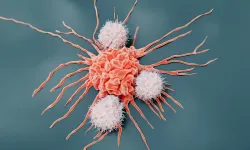 Aman dikkat kanserin bulaşıcı türleri keşfedildi! Bu 2 türü virüs gibi yayılıyor!