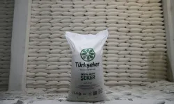 Şeker Pancarı Fiyatına %25 Zam: Tonu 2.975 TL Oldu!