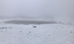 Afyonkarahisa Kar'la Buluştu: Lapa Lapa Kar Yağdı!