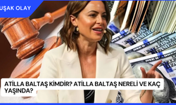 Atilla Baltaş Kimdir? Atilla Baltaş Nereli ve Kaç Yaşında?