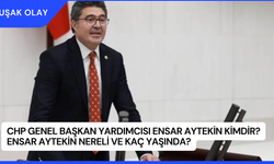 CHP Genel Başkan Yardımcısı Ensar Aytekin Kimdir? Ensar Aytekin Nereli ve Kaç Yaşında?