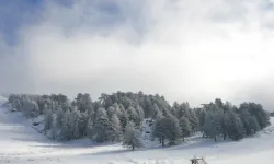 Murat Dağı’nda Kar Kalınlığı 37 Santimetreye Ulaştı!