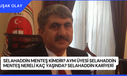 Selahaddin Menteş Kimdir? AYM Üyesi Selahaddin Menteş Nereli Kaç Yaşında? Selahaddin Kariyeri