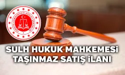 Uşak 2. Sulh Hukuk Mahkemesi Satış İlanı 2023/41