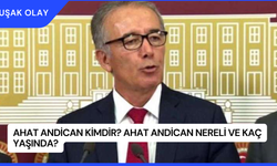 Ahat Andican Kimdir? Ahat Andican Nereli ve Kaç Yaşında?