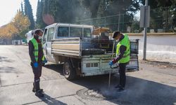 Karahallı’da Yaz Gelmeden Sinekle Mücadele Başladı!