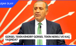 Gürsel Tekin Kimdir? Gürsel Tekin Nereli ve Kaç Yaşında?