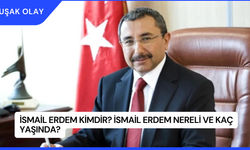 İsmail Erdem Kimdir? İsmail Erdem Nereli ve Kaç Yaşında?