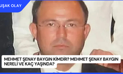 Mehmet Şenay Baygın Kimdir? Mehmet Şenay Baygın Nereli ve Kaç Yaşında?