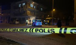 Denizli'de Mehmet D.'in öldüğü kavgada 2 kişi tutuklandı