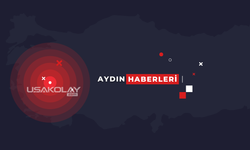 Aydın'da Otomobil TIR'a Çarptı; İrfan Karadana Öldü