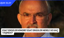 Esat Ergüler Kimdir? Esat Ergüler Nereli ve Kaç Yaşında?