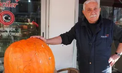 69 Kiloluk Kabağı gören hayretler içinde kalıyor