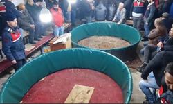 Denizli'de horoz dövüştüren 108 kişiye para cezası verildi