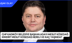 CHP Kadıköy Belediye Başkan Adayı Mesut Kösedağ Kimdir? Mesut Kösedağ Nereli ve Kaç Yaşında?