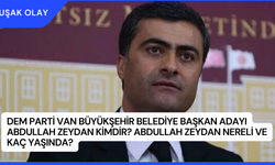 DEM Parti Van Büyükşehir Belediye Başkan Adayı Abdullah Zeydan Kimdir? Abdullah Zeydan Nereli ve Kaç Yaşında?