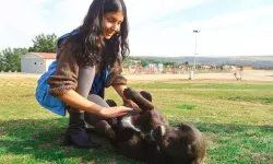 Hepsiburada'dan sokak hayvanlarına destek