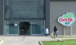 Gedik Piliç, Türkiye’nin İlk 1000 İhracatçısı Arasında!