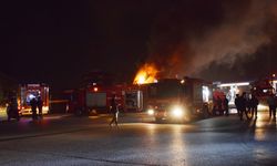 Manisa'da Kağıt Fabrikasında Yangın Çıktı