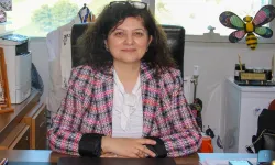 Uşak’ta Arılar Kış Uykusuna Yatamadı Bal Fiyatları Uçacak