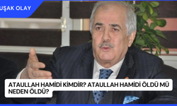 Ataullah Hamidi Kimdir? Ataullah Hamidi Öldü Mü Neden Öldü?